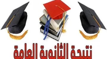 من خلال الرابط: موعد صدور نتائج الثانوية العامة 2025 وكيفية الاستعلام باستخدام رقم الجلوس