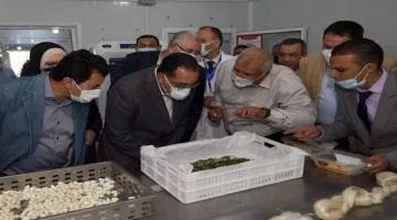 من دودة القز إلى صناعة محلية: التدشين الأول للمركز الوطني للحرير في الدولة