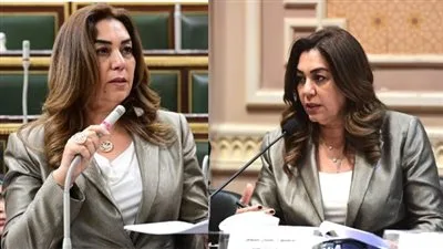 من نصدق: منال أو مين؟ وزيرة التنمية المحلية في مناقشات الإسكان عن الإيجار القديم: “لا توجد أراضٍ متاحة”… وفي الجلسة العامة: “كل شيء متوفر وسنتعاون مع الأوقاف والإصلاح الزراعي”.