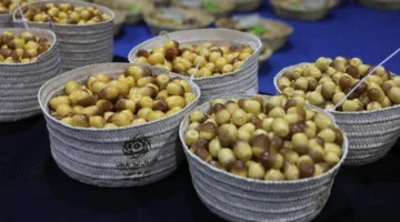 منافسات شديدة في «مزاينة الزاملي» ضمن فعاليات «ليوا للرطب»