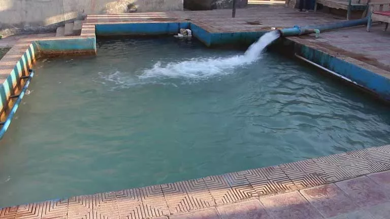 منتج يحوّل الوادي الجديد إلى مركز للسياحة العلاجية (صور)