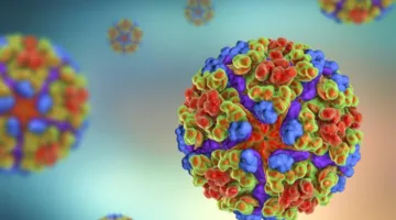 منظمة الصحة العالمية تعبر عن مخاوفها من تفشي فيروس شيكونغونيا