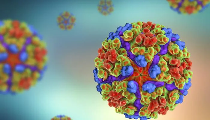 منظمة الصحة العالمية تعبر عن مخاوفها من تفشي فيروس شيكونغونيا