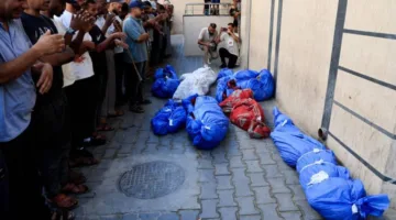 منظمة في غزة: أغلب سكان القطاع وصلوا إلى أسوأ مرحلة من الجوع