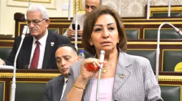مها عبد الناصر: توصلنا إلى اتفاق بشأن تنظيم الإنفاق على المقاعد الفردية ومكافحة التمويل السياسي
