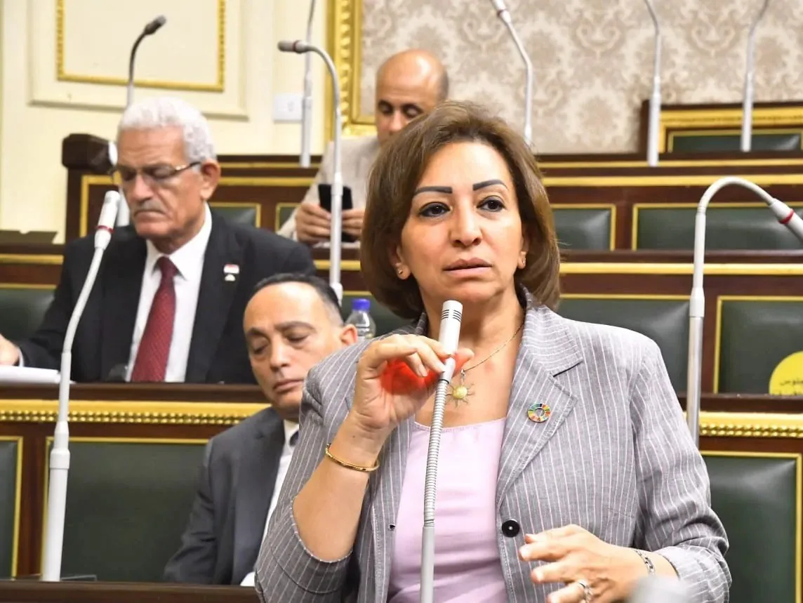 مها عبد الناصر: توصلنا إلى اتفاق بشأن تنظيم الإنفاق على المقاعد الفردية ومكافحة التمويل السياسي مها عبد الناصر: توصلنا إلى اتفاق بشأن تنظيم الإنفاق على المقاعد الفردية ومكافحة التمويل السياسي