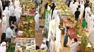 «مهرجان خورفكان للمانجو» يجذب 20 ألف زائر