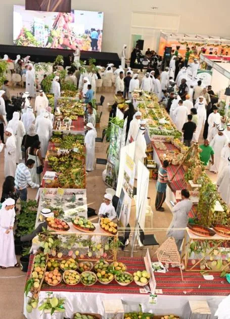 «مهرجان خورفكان للمانجو» يجذب 20 ألف زائر
