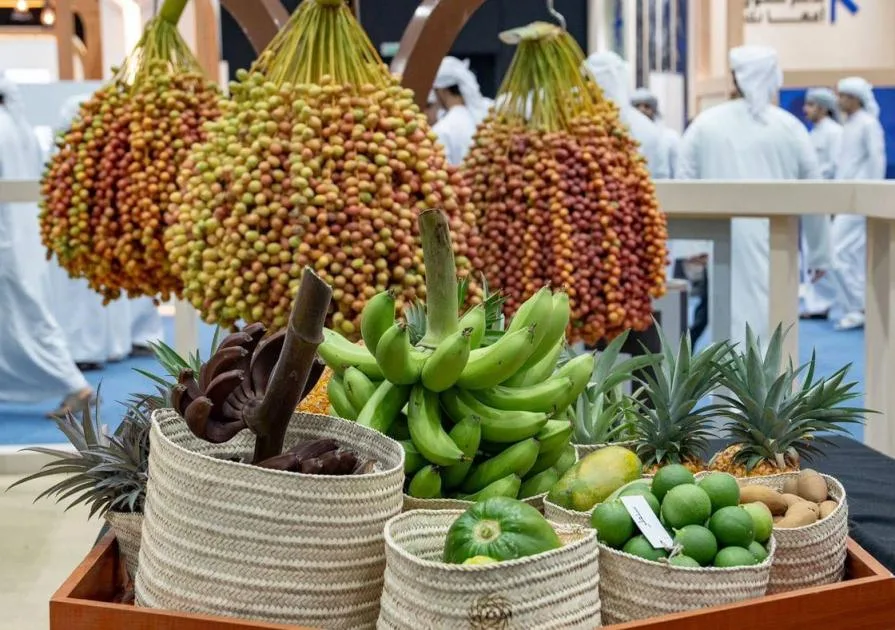 مهرجان ليوا للرطب يجذب 144.6 ألف زائر مهرجان ليوا للرطب يجذب 144.6 ألف زائر