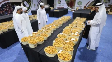 مهرجانات التمر: تكريم لتراث النخيل ورؤية زايد