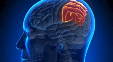 موجود في العديد من الأغذية.. مكون معروف يمكن أن يؤدي الإفراط في تناوله إلى سرطان الدم