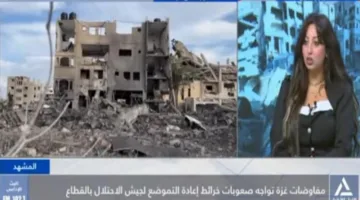 مونيكا ويليام: المحادثات الجارية بشأن غزة تفتقر إلى رؤية سياسية واضحة