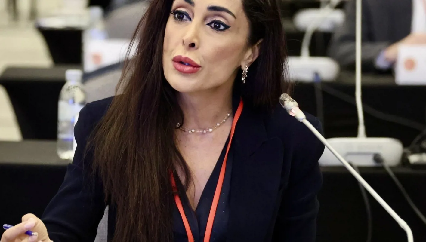 نائبة في البرلمان الأوروبي تفضح خطة إيرانية لخطفها