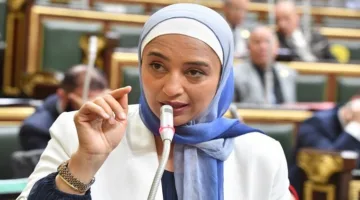 نائبة: محاولات غير ناجحة لتشويه جهود مصر في تقديم المعونات إلى غزة