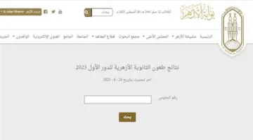 نتائج الثانوية الأزهرية 2025.. كيفية الحصول على النتيجة حال اعتمادها