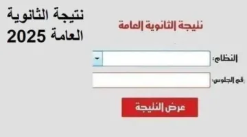نتائج الثانوية العامة 2025 متاحة الآن بالاسم