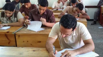 نتائج شهادة الثانوية العامة 2025: التوقيت الرسمي وأحدث التفاصيل لحظة بلحظة
