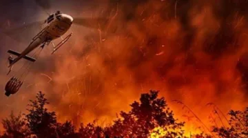نتيجة لارتفاع درجات الحرارة.. فرق الدفاع المدني تعمل على احتواء حرائق في شرق البلاد.