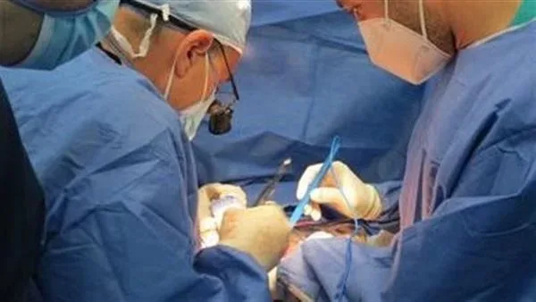 نجاح عملية جراحية لاستعادة الحركة في الساقين لمريض بمستشفى جامعة المنوفية نجاح عملية جراحية لاستعادة الحركة في الساقين لمريض بمستشفى جامعة المنوفية
