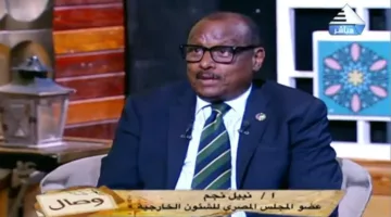 نجم: زيارة عبد العاطي لأفريقيا تعد خطوة جديدة نحو تعزيز الشراكة بين مصر وإفريقيا