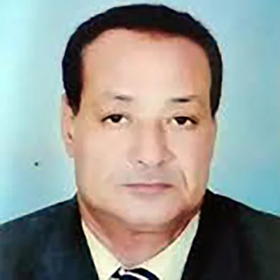 نظرية النمو في الاستثمار | عبد العظيم محمود حنفي
