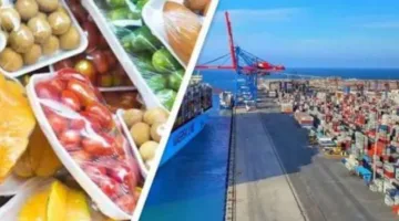 “نقيب الزراعيين”: المشاريع القومية زادت من صادرات مصر من الخضروات والفواكه على مستوى عالمي