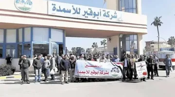 هبوط أرباح أبو قير للأسمدة بنسبة 31% رغم ارتفاع الإيرادات في 2024/2025