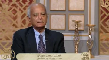 هريدي: الدبلوماسية المصرية خاضت تحديات كبيرة بعد 30 يونيو لاستعادة مكانة مصر الدولية