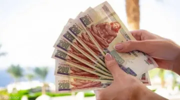 هل الجنيه المصري م undervalued وهل هناك احتمال لارتفاعه قريبًا؟ خبير يوضح.