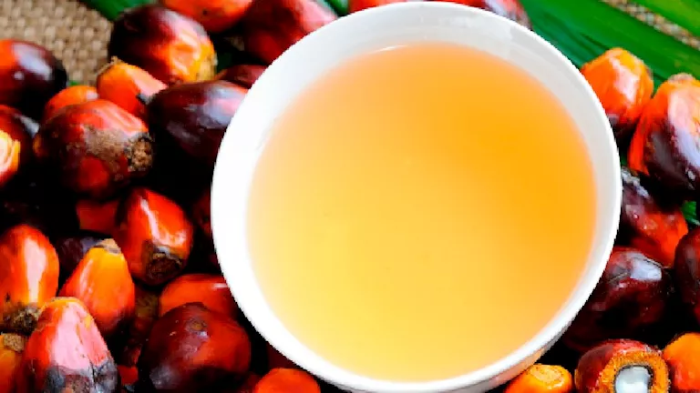 هل يؤثر زيت النخيل سلباً على صحة القلب؟ هل يؤثر زيت النخيل سلباً على صحة القلب؟