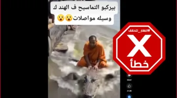 هل يستخدمون التماسيح كوسيلة للنقل في الهند؟ النهار تتحقق من الحقائق