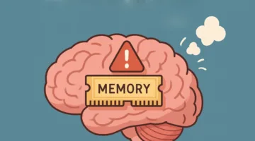 هل يستطيع عقلك تخزين العديد من الذكريات؟ العلماء يقدمون الإجابة