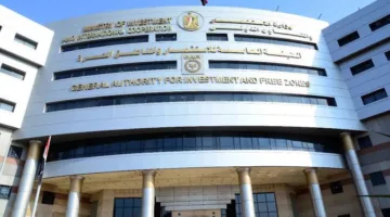 “هيئة الاستثمار”: تقييمات منتظمة لصياغة رؤية إصلاحية تتوازن بين المعايير العالمية والاحتياجات الوطنية.