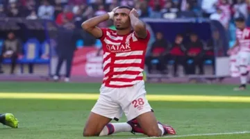 وادي دجلة يتفاوض مع لاعب هجوم فريق الأفريقي السابق