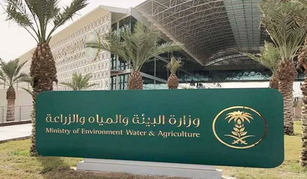 وزارة البيئة تطلق المرحلة الثانية من تحدي الابتكار المستدام في بوسطن وزارة البيئة تطلق المرحلة الثانية من تحدي الابتكار المستدام في بوسطن