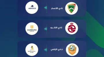 وزارة الرياضة تفصح عن تفاصيل تخصيص ثلاثة أندية
