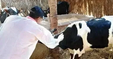 وزارة الزراعة: 214 قافلة بيطرية مجانية استفادت منها 176 قرية في يونيو الماضي
