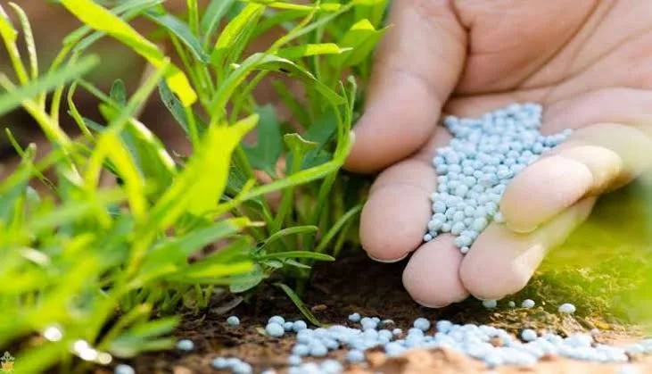 وزارة الزراعة تخطط لاستيراد 20 ألف طن من الأسمدة النيتروجينية