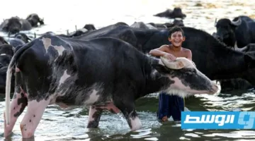 وزارة الصحة العراقية تُعلن عن تسجيل 30 حالة وفاة بسبب الحمى النزفية منذ بداية السنة.