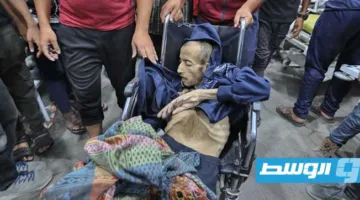 «وزارة الصحة الفلسطينية»: زيادة عدد ضحايا المجاعة في غزة إلى 101 شهيد، من بينهم 80 طفلاً