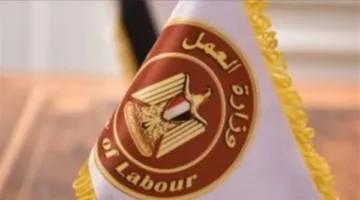 وزارة العمل تعلن عن 37 فرصة عمل جديدة برواتب جذابة في الأردن