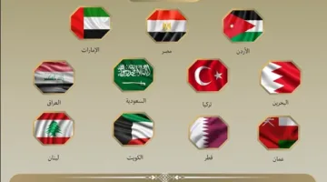وزراء خارجية عشر دول عربية وتركيا يعبرون عن معارضتهم للتدخلات الخارجية في سوريا