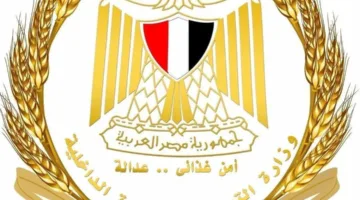 وزير التموين يعلن عن تخفيضات تصل إلى 10٪ على اللحوم والدواجن والخضروات والفواكه في كافة المجمعات الاستهلاكية احتفالا بذكرى ثورة 30 يونيو.