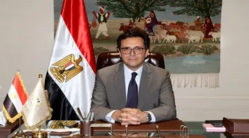 وزير الثقافة: استراتيجية وطنية بثلاثة جوانب لإ revitalizing السينما المصرية