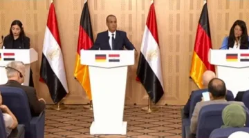 وزير الخارجية: مصر تواجه ضغوطًا غير عادية بسبب استضافة 10 ملايين لاجئ