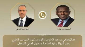 وزير الخارجية ي reaffirm تأييد مصر لسيادة السودان ووحدته وسلامة أراضيه ومؤسساته الوطنية.