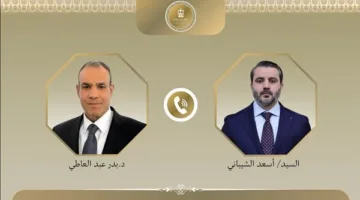 وزير الخارجية يؤكد لنظيره السوري موقف مصر الرافض للاعتداءات الإسرائيلية على دمشق
