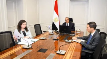 وزير الخارجية يشارك في الاجتماع الافتراضي مع الجالية المصرية في واشنطن ونيويورك
