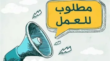 وزير العمل: 178 وظيفة متاحة في الإمارات براتب شهري قدره 1800 درهم