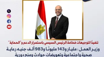 وزير العمل: تخصيص مليار جنيه لتقديم منح وتعويضات ورعاية صحية للعمالة غير المستقرة